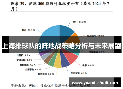 上海排球队的阵地战策略分析与未来展望