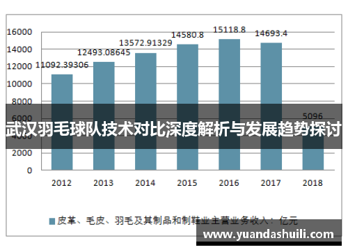 武汉羽毛球队技术对比深度解析与发展趋势探讨
