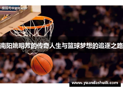 南阳姚明芳的传奇人生与篮球梦想的追逐之路